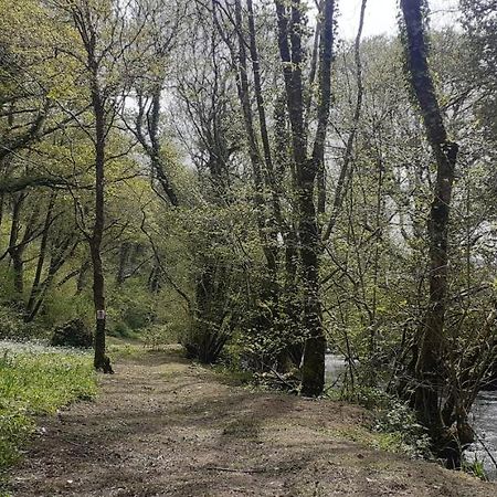 Retraite Rustique En Bordure De Foret A La Campagne Hotel Belle-Isle-en-Terre Екстериор снимка