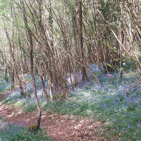 Retraite Rustique En Bordure De Foret A La Campagne Hotel Belle-Isle-en-Terre Екстериор снимка