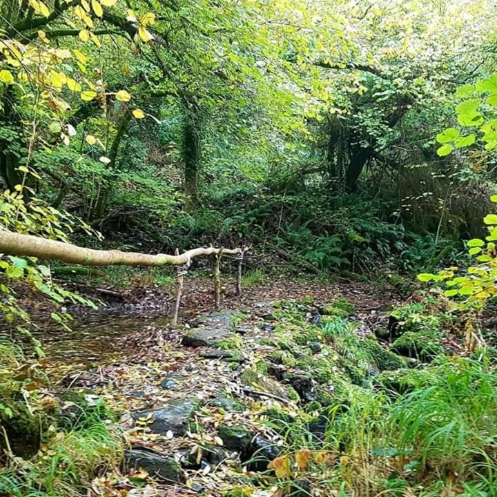 Retraite Rustique En Bordure De Foret A La Campagne Hotel Belle-Isle-en-Terre Екстериор снимка