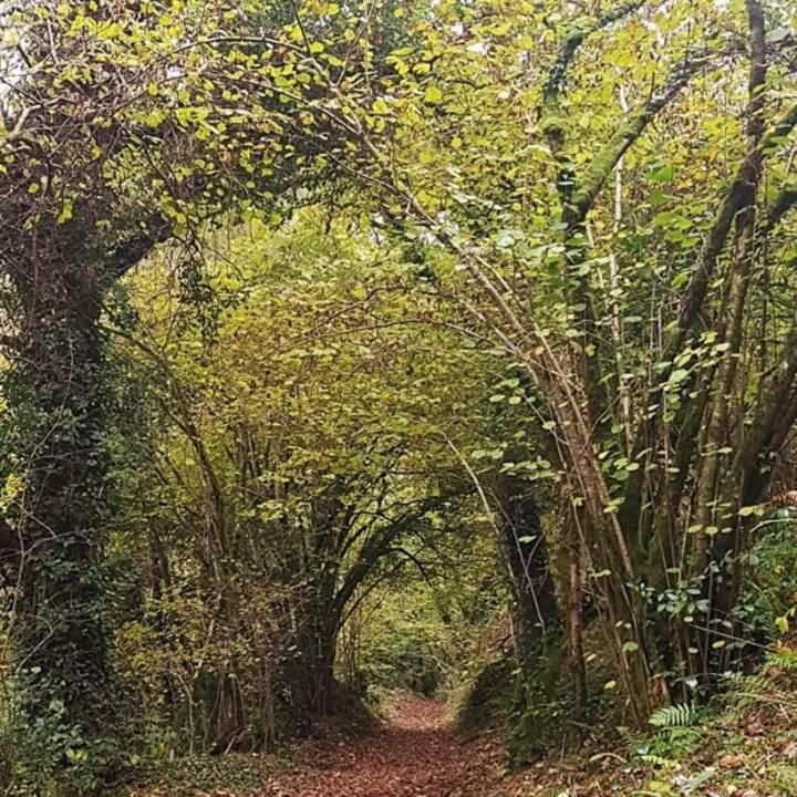 Retraite Rustique En Bordure De Foret A La Campagne Hotel Belle-Isle-en-Terre Екстериор снимка