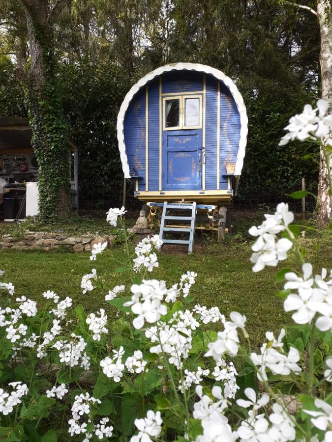 Retraite Rustique En Bordure De Foret A La Campagne Hotel Belle-Isle-en-Terre Екстериор снимка