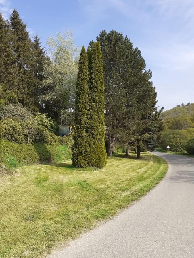 Retraite Rustique En Bordure De Foret A La Campagne Hotel Belle-Isle-en-Terre Екстериор снимка